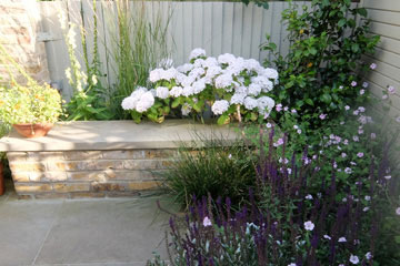 Tiny Courtyard in Ealing